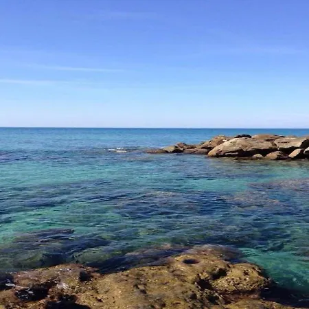 L'albero Di Limoni Sul Mare Di Pizzo (Calabria)