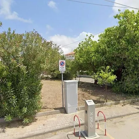 L'albero Di Limoni Sul Mare Di Pizzo (Calabria)