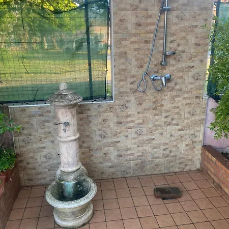 L'albero Di Limoni Sul Mare Di Vakantiehuis Pizzo (Calabria)