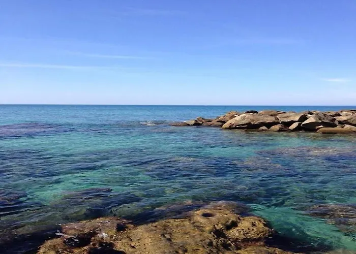 L'albero Di Limoni Sul Mare Di פיצו