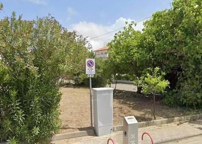 L'albero Di Limoni Sul Mare Di פיצו