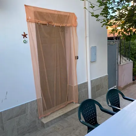 L'albero Di Limoni Sul Mare Di 피조