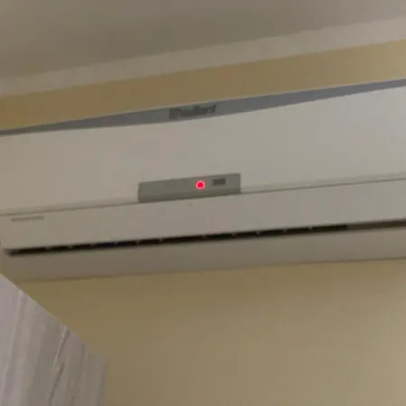 L'albero Di Limoni Sul Mare Di