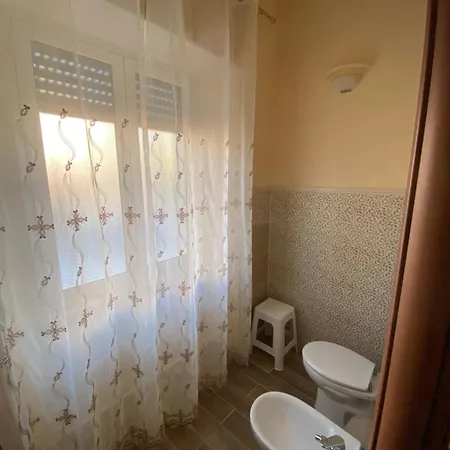 L'albero Di Limoni Sul Mare Di *