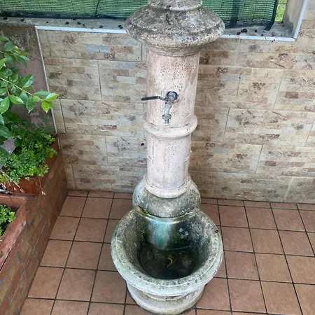 L'albero Di Limoni Sul Mare Di