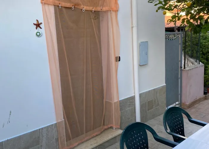 L'albero Di Limoni Sul Mare Di Pizzo (Calabria)