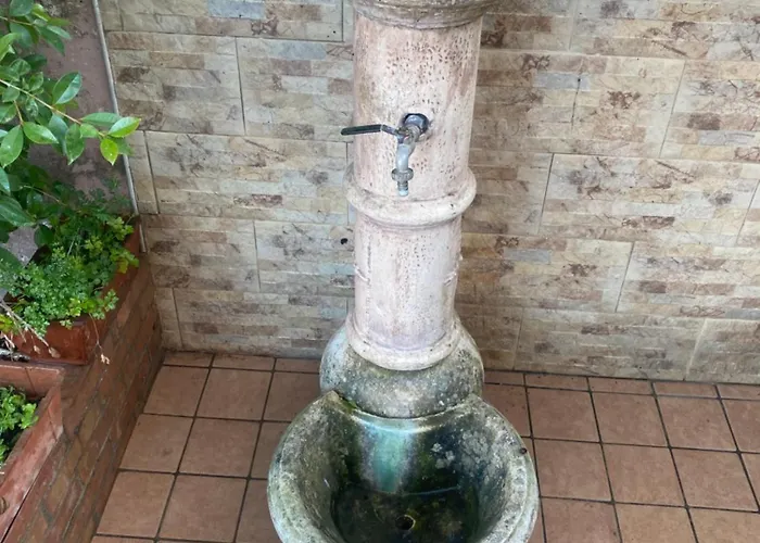 L'albero Di Limoni Sul Mare Di